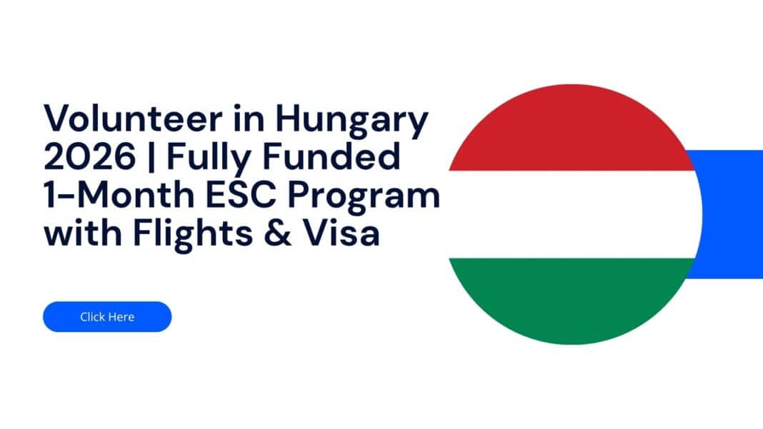 Volunteer in Hungary 2026